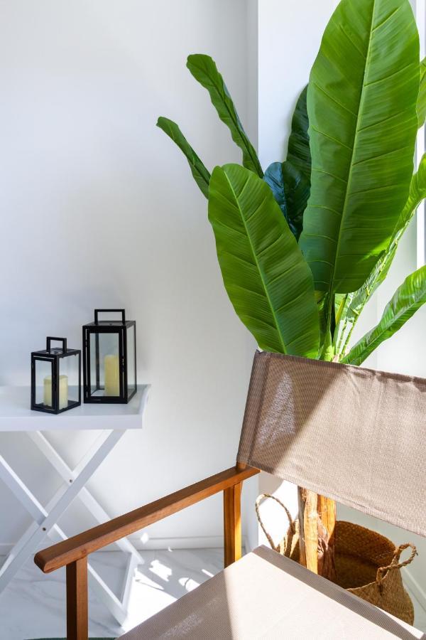基督城Central Sunny Perch 2 Bed 1 Bath公寓 外观 照片